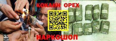 гидра Нальчик