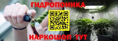 гидра Нальчик