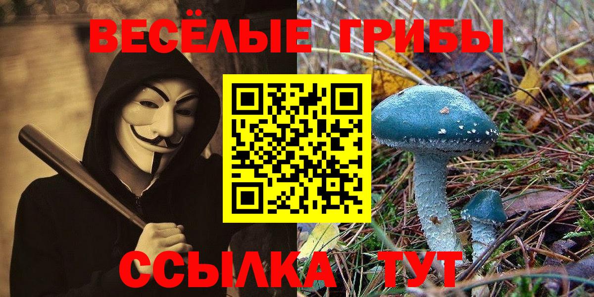 Галлюциногенные грибы мухоморы Узловая