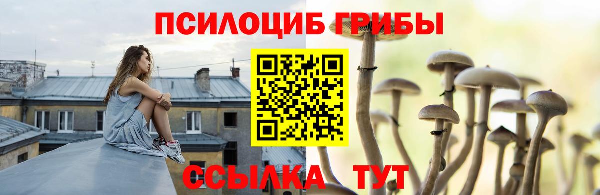 Галлюциногенные грибы Psilocybe  Вход с VPN  Узловая 